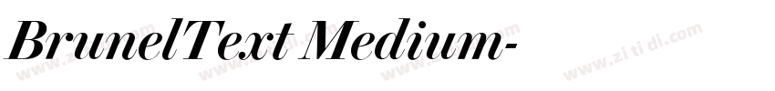BrunelText Medium字体转换